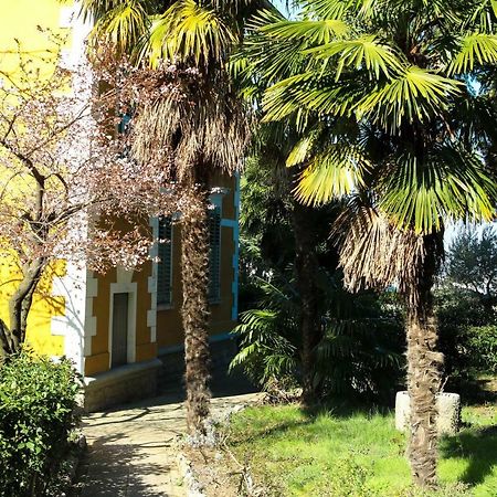 Apartman Cedra Izola Exteriér fotografie